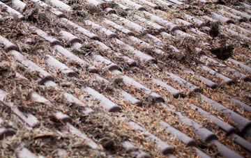 Stretton Westwood roof cleaning companies